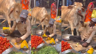 మహిళా వెయిటర్ వీడియో ఇంటర్నెట్‌లో సంచలనం.. రోబోటిక్ కదలికలు చూసి షాక్..