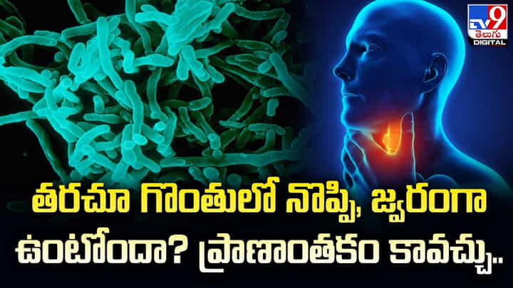 తరచూ గొంతులో నొప్పి, జ్వరంగా ఉంటోందా ?? ప్రాణాంతకం కావచ్చు తరచూ గొంతులో నొప్పి, జ్వరంగా ఉంటోందా ?? ప్రాణాంతకం కావచ్చు