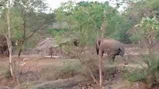 Medak Congress: కాంగ్రెస్‌లో అలజడి రేపుతున్న నేతల మధ్య గ్యాప్.. గెలుపు తీరాలకు చేర్చేనా..?