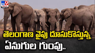 Telangana LS Polls: ‘కేంద్ర పాలిత ప్రాంతంగా హైదరాబాద్..‘ KTR కామెంట్స్‌పై కేంద్ర మంత్రి ఏమన్నారంటే..?