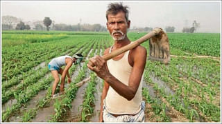 MSME: ఎంఎస్ఎంఈలో మీ వ్యాపార నమోదుతో నమ్మలేని లాభాలు.. ప్రభుత్వ రాయితీలు తెలిస్తే షాకవుతారు