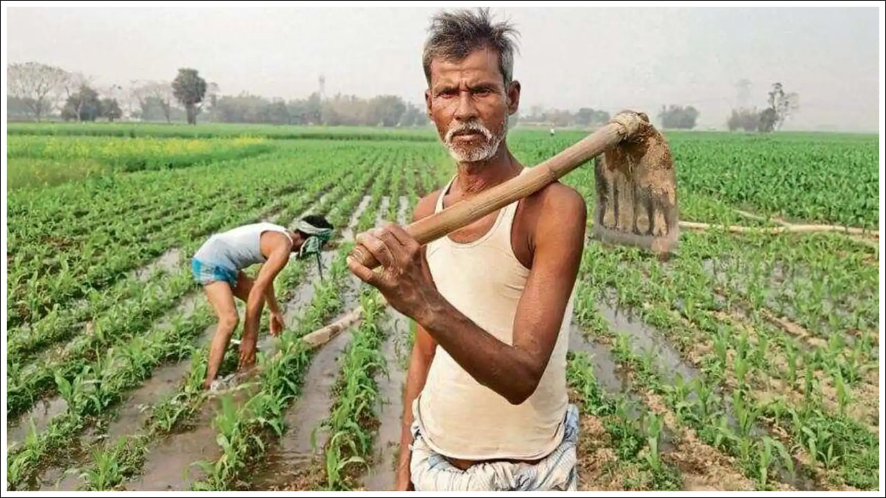 Pension Scheme: రైతులకు మోడీ సర్కార్ నుంచి నెలకు రూ.3 వేల పెన్షన్.. దరఖాస్తు చేయడం ఎలా?