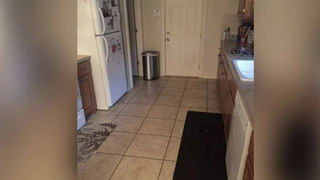 కాలుష్యం అరికట్టడానికి ఆ దేశంలో పాప్, డిస్కో, రాక్ మ్యూజిక్ పై నిషేధం.. ఎప్పటి నుంచి అమలు అంటే