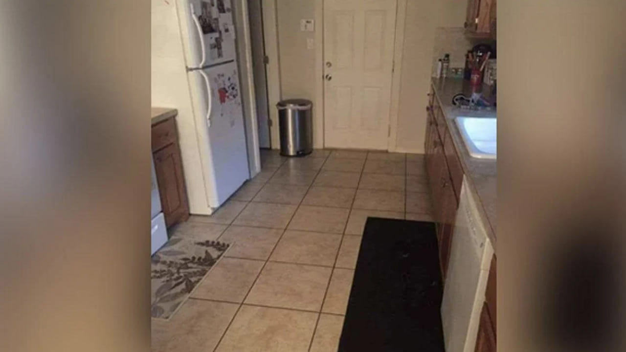 Photo Puzzle: మీ ఐ ఫోకస్ ఏ రేంజ్ ఏంటి.? ఈ ఫోటోలో దాగున్న కుక్కను క్షణాల్లో కనిపెట్టగలరా.!