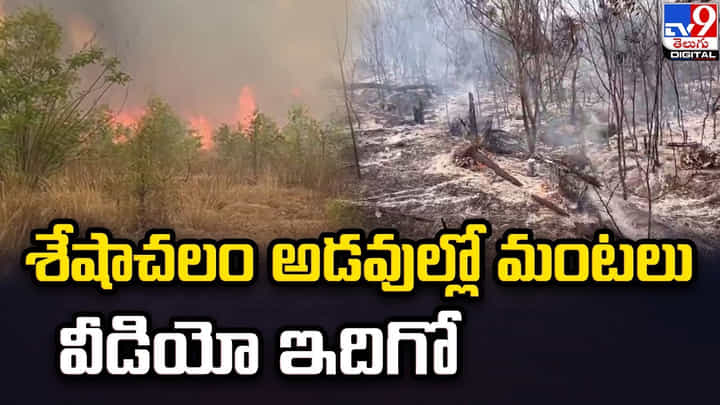 TTD: శేషాచలం అడవుల్లో మంటలు.. వీడియో ఇదిగో TTD: శేషాచలం అడవుల్లో మంటలు.. వీడియో ఇదిగో