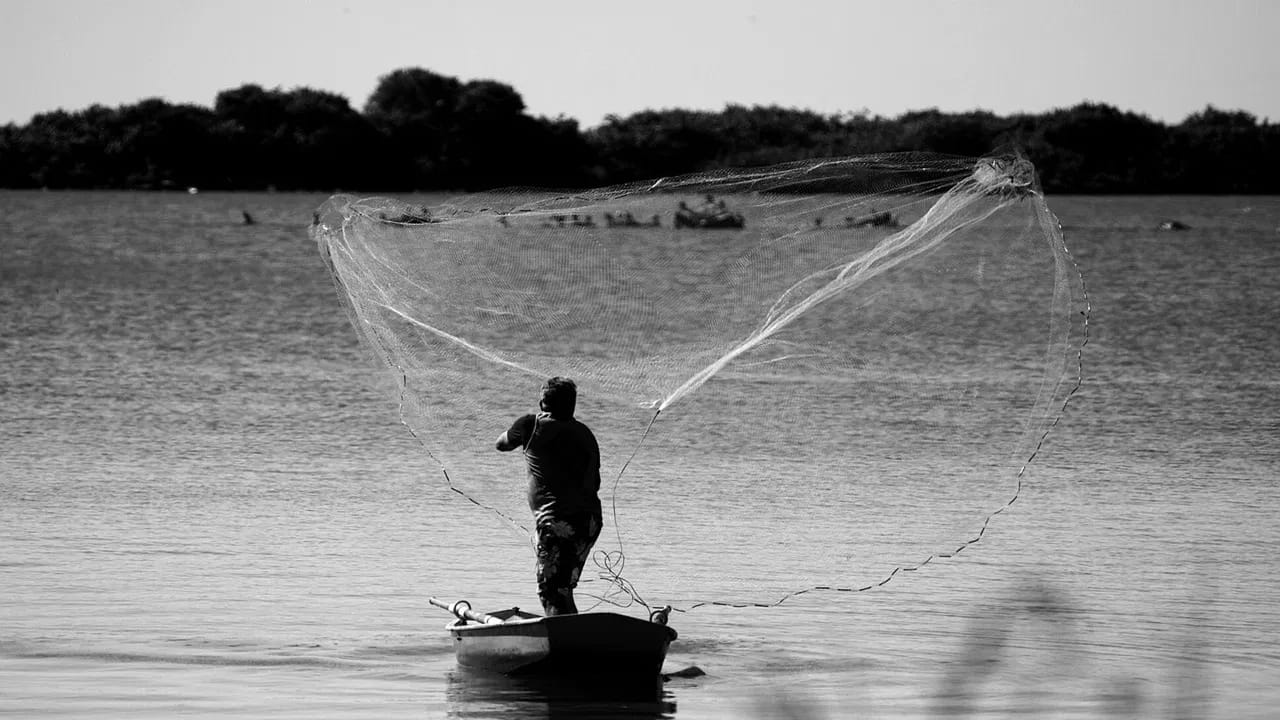 వామ్మో.! చేపల కోసం వల వేస్తే.. గాలానికి చిక్కిన పొడవాటి ఆకారం చూసి జాలరి స్టన్..