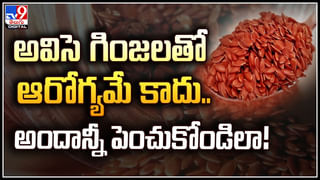 Tribes: గిరిజనులకు తప్పని డోలి కష్టాలు.. గర్భిణీని రెండు కిలోమీటర్లు డోలీలో మోసిన గిరిజనులు.