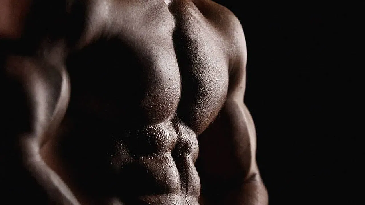 అదే విధంగా చికెన్ బ్రెస్ట్ తినడం వల్ల కూడా కండరాలు బరువు పెరగడానికి, బలంగా ఉండటానికి హెల్ప్ చేస్తుంది. పప్పు దినుసులు, పెసలు, ఫైబర్ ఉన్న ఆహార పదార్థాలు కూడా కండరాల పెరుగుదలకు సహాయ పడతాయి.