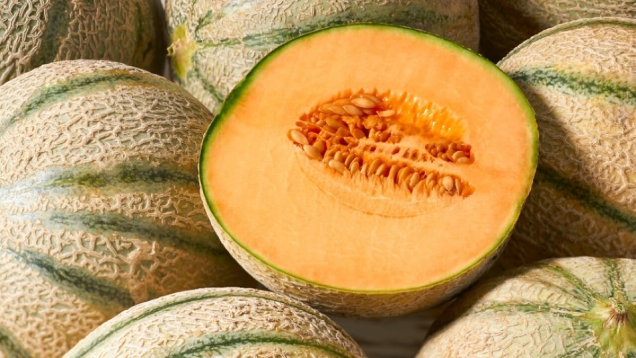 Galia Watermelon ఈ హైబ్రిడ్ వాటర్ మిలెన్ తింటే.. కావాల్సినన్ని