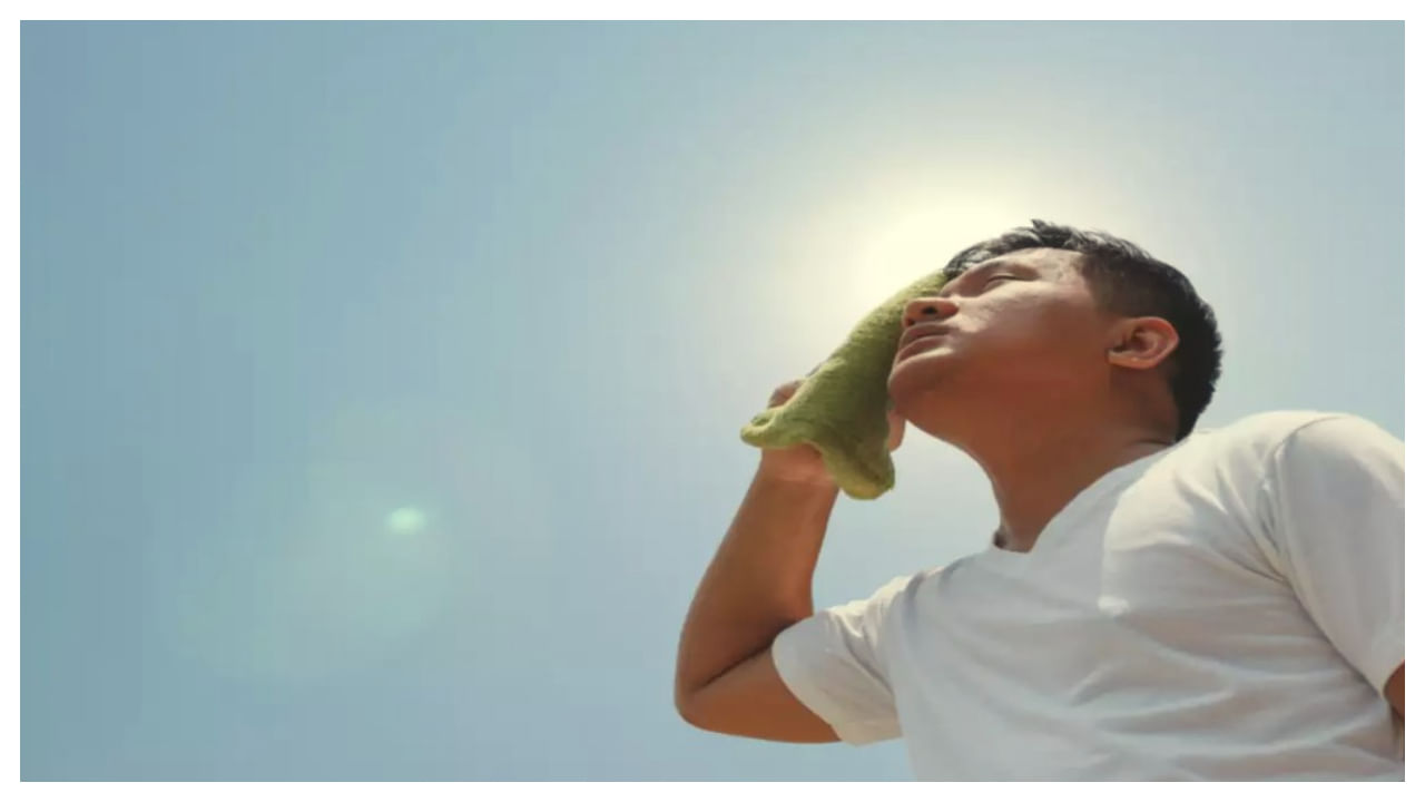 ఎండా కాలంలో మసాలాలతో తయారు చేసిన ఆహార పదార్థాల కంటే.. బాడీని చల్లబరిచే వాటిని తినడం మంచిది. వేసవిలో లభ్యమయ్యే పుచ్చ కాయ, ఖర్జూజా, సపోటా, మామిడి పండ్లు, కొబ్బరి నీరు, చెరకు రసం వంటి వాటిని తీసుకోవాలి.