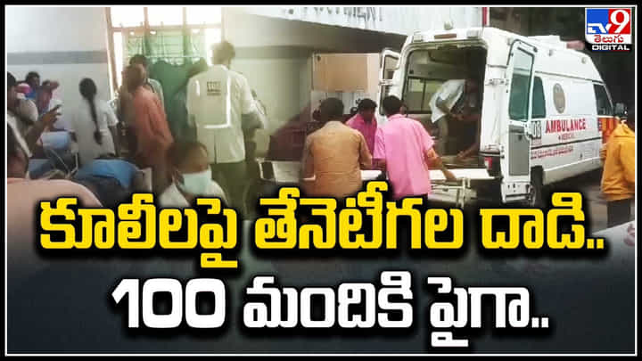 Honey Bees: ఉపాధి హామీ కూలీలపై తేనెటీగల దాడి.. 100 మందికి పైగా గాయలు.! Honey Bees: ఉపాధి హామీ కూలీలపై తేనెటీగల దాడి.. 100 మందికి పైగా గాయలు.!