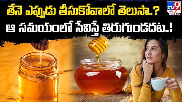 తేనె ఎప్పుడు తీసుకోవాలో తెలుసా ?? ఆ సమయంలో సేవిస్తే తిరుగుండదట తేనె ఎప్పుడు తీసుకోవాలో తెలుసా ?? ఆ సమయంలో సేవిస్తే తిరుగుండదట