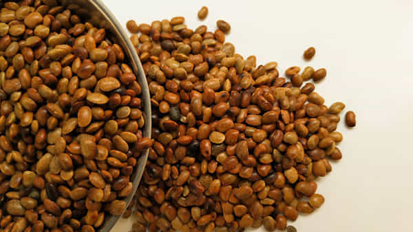 Horse Gram Benefits: మందుల అవసరం లేదు.. ఉలవలతో ఈ సమస్యలన్నీ పరార్.. నిండు ఆరోగ్యం!