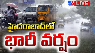 Hyderabad: తవ్వకాల్లో బయటపడ్డ కృష్ణుడి విగ్రహం.. కట్ చేస్తే.. షాకింగ్ నిజంతో మైండ్ బ్లాంక్.!