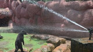 Telangana: బీఆర్ఎస్‎కు వరుసగా ఎదురుదెబ్బలు… అక్కడి వాస్తు దోషమే కారణమా..?