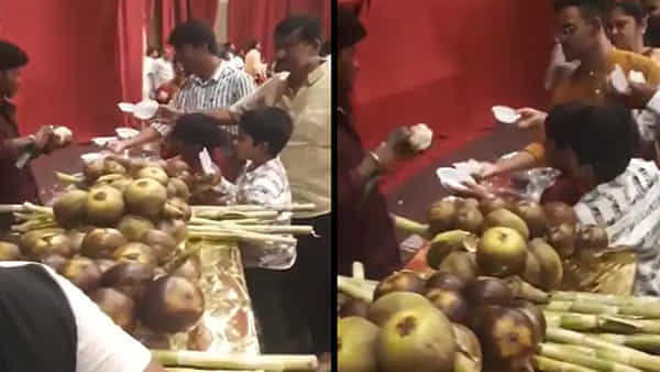 విందు అంటే ఇది.. రిసెప్షన్లో వేసవి దాహార్తిని తీర్చే తాటి ముంజలు సందడి.. అతిధులను ఆకట్టుకున్న ఆతిధ్యం