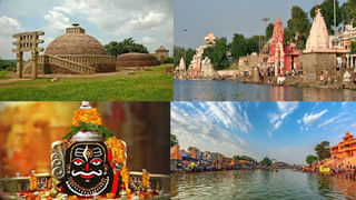 Summer Gardening Tips: వేసవిసెలవుల్లో ట్రిప్ ప్లాన్ చేస్తున్నారా? విహారయాత్రకు వెళ్లే ముందు మొక్కలను ఇలా సంరక్షించండి