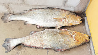 AP News: ఎన్నికల తనిఖిల్లో భాగంగా RTC బస్సును ఆపిన పోలీసులు.. ఓ ఫ్యామిలీ లగేజ్ చెక్ చేయగా