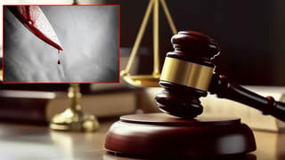 Viral Video: ‘భర్త, ప్రియుడు.. ఇద్దరూ కావాలి’.. విద్యుత్‌ స్తంభం ఎక్కి మహిళ నిరసన! వీడియో వైరల్