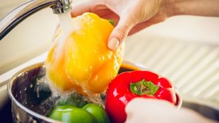 Get Rid of Lice: తలలో పేలు ఎక్కువగా ఉన్నాయా.. వీటితో చెక్ పెట్టండి!