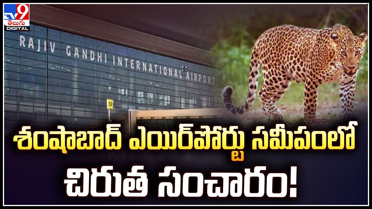 Leopard: శంషాబాద్‌ ఎయిర్‌పోర్టు సమీపంలో చిరుత.. ప్రహరీ దూకుతుండగా వైర్లకు తగిలిన చిరుత.