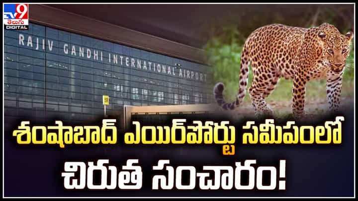 Leopard: శంషాబాద్ ఎయిర్పోర్టు సమీపంలో చిరుత.. ప్రహరీ దూకుతుండగా వైర్లకు తగిలిన చిరుత. Leopard: శంషాబాద్ ఎయిర్పోర్టు సమీపంలో చిరుత.. ప్రహరీ దూకుతుండగా వైర్లకు తగిలిన చిరుత.