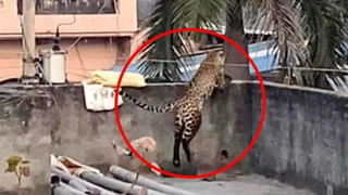 Viral Video: బోరు బావి నుంచి ఉప్పొంగిన జల సిరి.. ఈ రైతన్న ఆనందం చూశారా..?