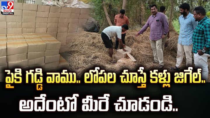 పైకి గడ్డి వాము.. లోపల చూస్తే కళ్లు జిగేల్.. అదేంటో మీరే చూడండి.. పైకి గడ్డి వాము.. లోపల చూస్తే కళ్లు జిగేల్.. అదేంటో మీరే చూడండి..