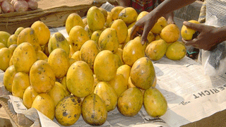 Lifestyle: బెల్లం, పెరుగు కలుపుకొని తీసుకుంటే ఏమవుతుందో తెలుసా.?