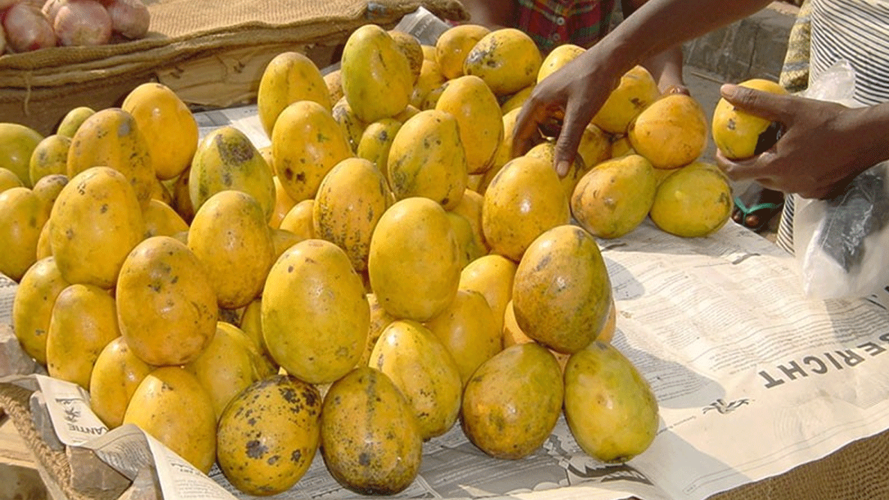 Lifestyle: షుగర్ పేషెంట్స్ మామిడి పండ్లు తినొచ్చా.? నిపుణులు ఏమంటున్నారంటే..