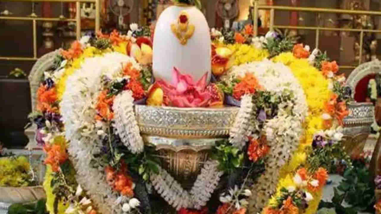 Masa Shivaratri: ఈ నెల 7వ తేదీన మాస శివరాత్రి.. శివుడిని ఎలా ప్రసన్నం చేసుకోవాలో తెలుసా..