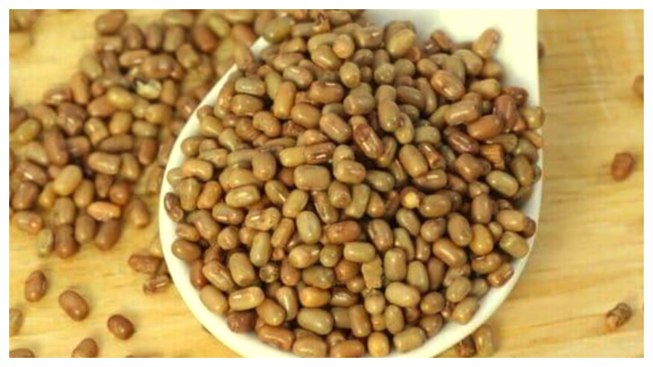 Matka Dal: మట్కా పప్పు గురించి మీకు తెలుసా.. ఎన్నో పోషక విలువలున్నాయ్!