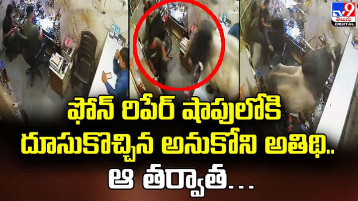 ఫోన్ రిపేర్ షాపులోకి దూసుకొచ్చిన అనుకోని అతిథి.. ఆ తర్వాత.. ఫోన్ రిపేర్ షాపులోకి దూసుకొచ్చిన అనుకోని అతిథి.. ఆ తర్వాత..