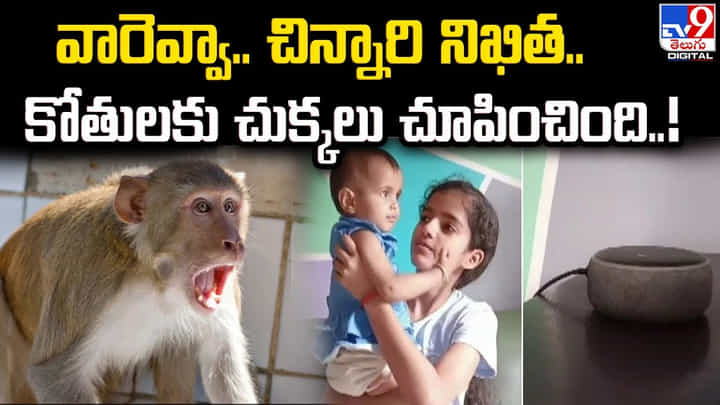 వారెవ్వా.. చిన్నారి నిఖిత.. కోతులకు చుక్కలు చూపించింది వారెవ్వా.. చిన్నారి నిఖిత.. కోతులకు చుక్కలు చూపించింది