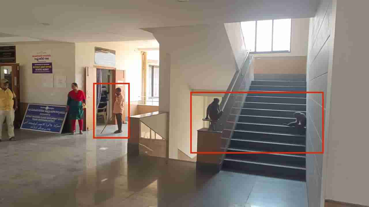 Yadadri Collectorate:  ఆ జిల్లా కలెక్టరేట్‌కు వెళ్ళాలంటే చేతిలో కర్ర ఉండాల్సిందే.. ఎందుకో తెలుసా..?