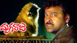 అప్పుడు పక్కింటమ్మాయిగా.. ఇప్పుడు గ్లామర్ బ్యూటీగా.. ఈ వయ్యారి ఎవరో గుర్తుపట్టగలరా.?