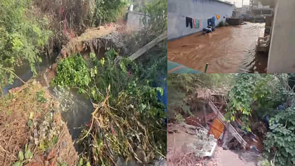 Nizam Sagar Canal: ఆర్మూర్లో తెగిన నిజాంసాగర్ కాలువ కట్ట.. ఇళ్లలోకి ఏరులైపారిన నీళ్లు! వీడియో వైరల్