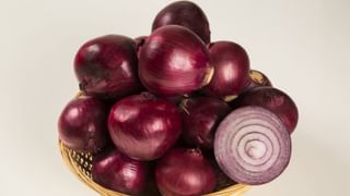 Lunch Box: ఆఫీసులకు లంచ్ బాక్స్ తీసుకెళ్తున్నారా.. ఈ విషయాలు మీకోసమే!