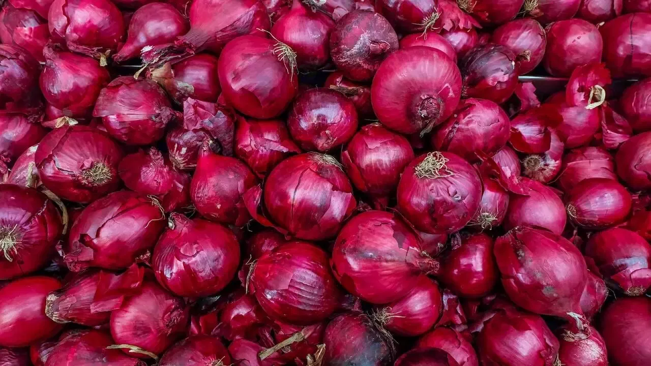 ఎర్ర ఉల్లిపాయల్ని జుట్టుకు ఉపయోగించడం వల్ల తలపై ఉండే మంట తగ్గుతుంది. అలాగే జుట్టు కుదుళ్లు కూడా బలంగా తయారవుతాయి. అలాగే చుండ్రుకు కారణం అయ్యే బ్యాక్టీరియా, శిలీంధ్రాలను నాశనం చేస్తుంది. జుట్టుకు మంచి పోషణ అందిస్తుంది.
