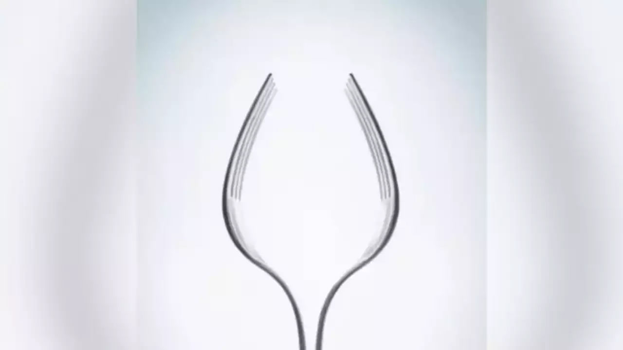 Optical illusion: ఈ ఫొటోలో మీకు మొదట ఏం కనిపిస్తోంది.. దాంతో మీరేంటో చెప్పొచ్చు