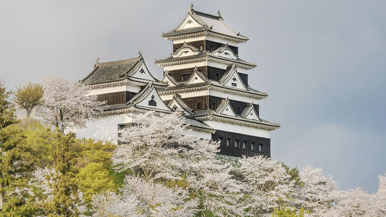 Ōzu Castle: ఈ ప్యాలెస్ కి రాజు కావచ్చు.. రాజభోగాలు అనుభవించవచ్చు.. అద్దె మాత్రం షాక్ ఇస్తుంది