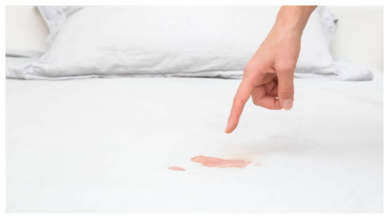 పీరియడ్స్ సమయంలో సాధారణంగా అప్పుడప్పుడు బెడ్ షీట్‌పై మరకలు పడటం అనేది కామన్ విషయం. ఎంత జాగ్రత్తలు తీసుకున్నా.. ఒక్కోసారి బ్లడ్ అనేది లీక్ అవుతూ ఉంటుంది. ఎక్కువగా రాత్రి పూట పడుకునే సమయాల్లో ఈ సమస్యను చూసే ఉంటారు.
