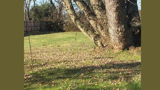 అనుకున్నదొక్కటి.. అయ్యిందొక్కటి.. ఈ పిల్లాడి పరిస్థితి కుడితిలో పడ్డ ఎలుకలా మారింది.!