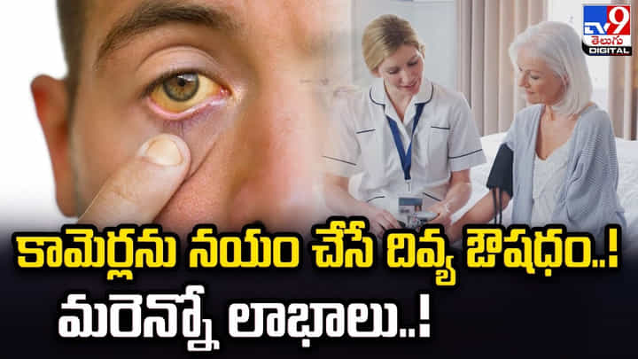 కామెర్లను నయం చేసే దివ్య ఔషధం !! మరెన్నో లాభాలు !! కామెర్లను నయం చేసే దివ్య ఔషధం !! మరెన్నో లాభాలు !!