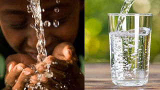 Kidney Damaging Foods: మీ కిడ్నీలు పదికాలాలపాటు పదిలంగా ఉండాలంటే.. ఈ 5 ఆహారాలు వెంటనే మానేయండి!