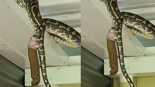 ఈ వధువు వెరీ వెరీ స్పెషల్.. యక్షగాన వేషధారణలో కల్యాణ మండపానికి చేరుకున్న పెళ్లి కూతురు