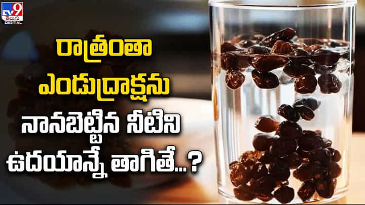 ఎండుద్రాక్షను నానబెట్టిన నీటితో ఎన్ని ప్రయోజనాలో తెలుసా ?? ఎండుద్రాక్షను నానబెట్టిన నీటితో ఎన్ని ప్రయోజనాలో తెలుసా ??