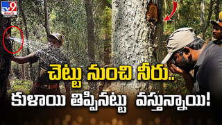 ఆర్మీ అధికారిని పెళ్లాడిన అవిభక్త కవలలు