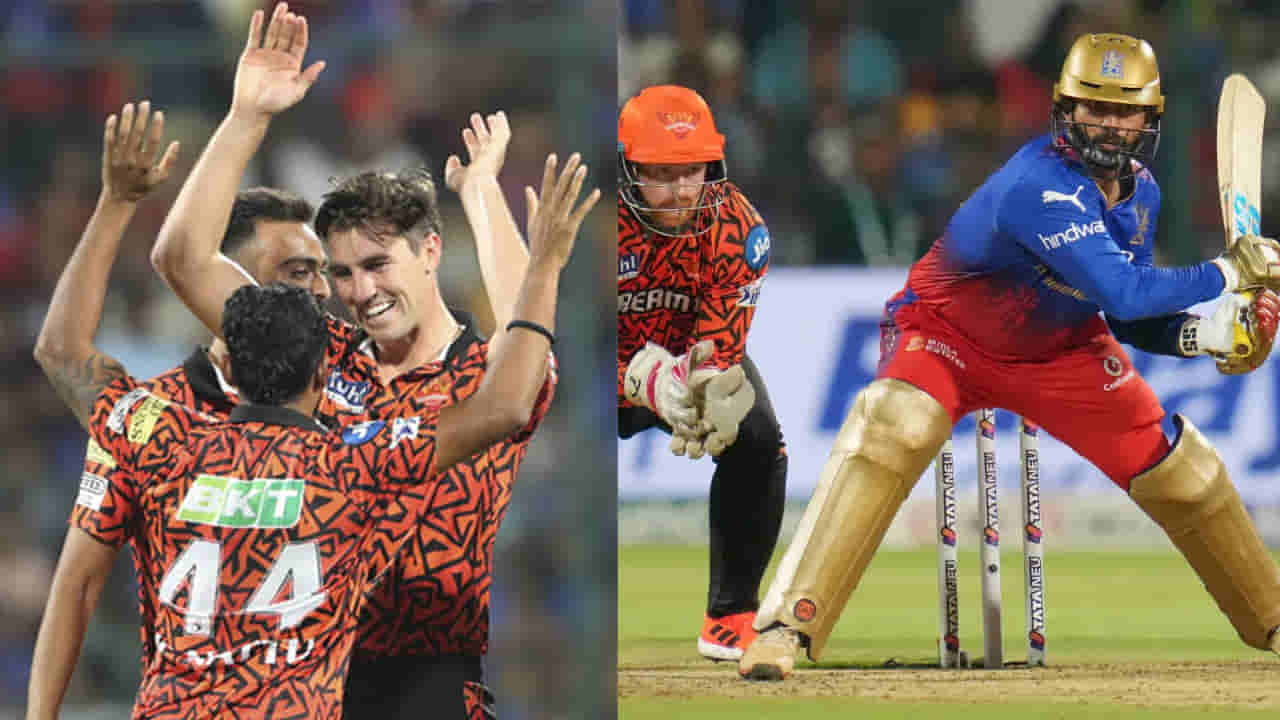 RCB vs SRH, IPL 2024: దినేశ్ కార్తీక్ అద్బుత ఇన్నింగ్స్ వృథా.. బెంగళూరుపై హైదరాబాద్ గెలుపు