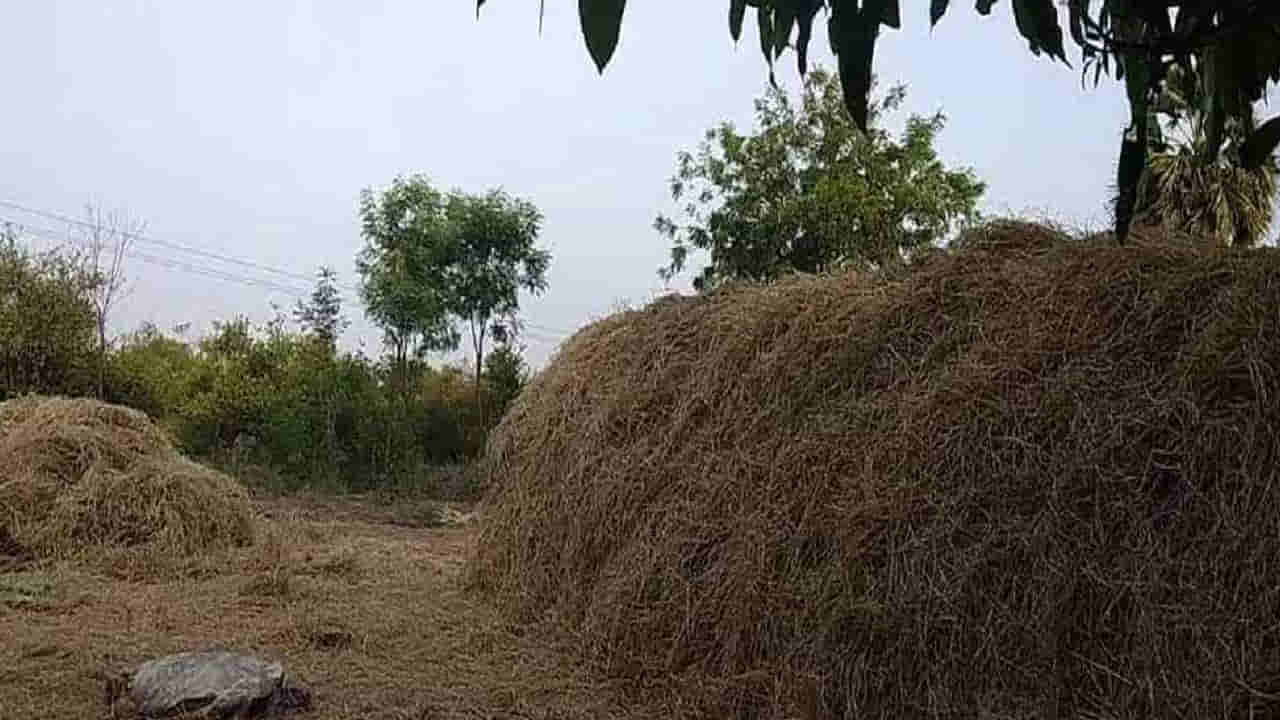 AP News: పైకి చూసి గడ్డి వాము అనుకునేరు.. లోపలకెళ్లి చూడగా మైండ్ బ్లాంక్.!